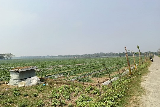 image-here